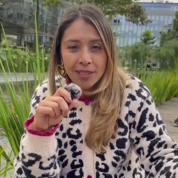 ¿Por qué nació BigTwins?